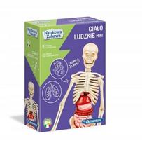 Žmogaus kūno modelis HUMAN BODY MINI Clementoni 50515