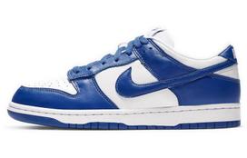 Nike Dunk Low Retro Sp 'Kentucky' CU1726-100 39 gray