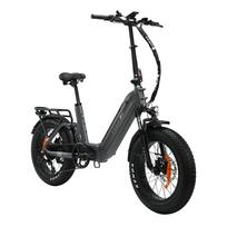 TTGO F6 Pro Folding Electric Bike,48V 18AH Battery,Hydraulic Disc Brakes