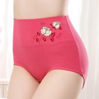 Women's Panties Embroidered Panties High Waist Underwear XXL šviesiai violetinė spalva