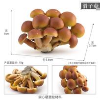 Charming Realistic Mushroom Display Collection Including Shiitake Enoki Matsutake And Colorful Poisonous Umbrellas For Home Aesthetics Set 1 116g brown