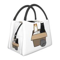 Cats In A Box Insulated Lunch Bag for School Bento Storage Food Boxes Leakproof Container Cooler Thermal Lunch Box Tote One Size white