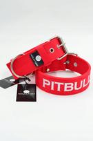 Tvirtas antkaklis pitbuliui