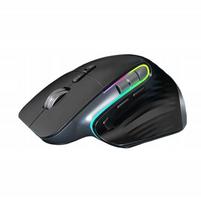 Belaidė vertikali ergonomiška pelė, tylus veikimas, pašvietimas, 2,4 GHz