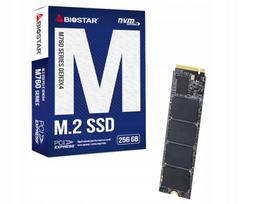 SSD kaupiklis Biostar M760 256GB M.2 NVMe kompiuteriams ir nešiojamiesiems