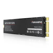 Vidinė SSD atmintis Fanxiang S201 256GB, M.2 SATA 2280, 550/460MB/s