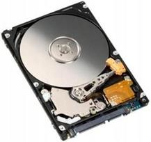 Vidinis nešiojamojo kompiuterio kietasis diskas 320GB, 2,5", SATA, 5400 aps./min