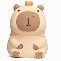 USB atmintinė vaikams CAPYBARA 32GB, USB-C, dovana