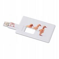 USB atmintinė 16GB, kreditinės kortelės formos