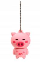 USB atmintinė 16GB, rožinė kiaulė, m4