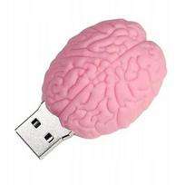 USB atmintinė „FAST FLASH DRIVE ULTRA“, 64GB