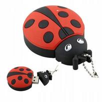 USB atmintukas „Ladybug“ pakabukas, 64GB