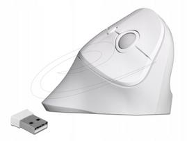 Belaidė ergonomiška vertikali pelė Delock 12596, USB