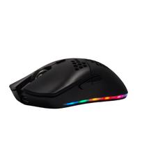 Belaidė žaidimų pelė su RGB apšvietimu, 2.4GHz, USB-C, optinė, juoda
