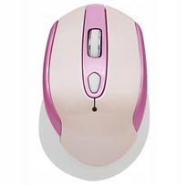 Belaidė kompiuterio pelė, ergonomiška, 2.4GHz, USB-C