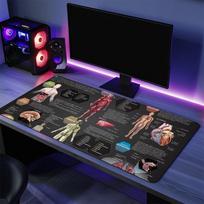 Žmogaus anatomijos lentelė s Pelės kilimėlis Didelis stalo kilimėlis Klaviatūra Ergonomiškas Biuro Guminis PC Neslystantis Nesidrožiantis Namų Individualus 30cmx80cm(11.8x31.5inch)