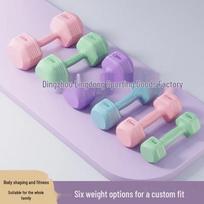 Dumbbells for Men, Women & Kids - Fitness Equipment for Beginners, Arm Muscle Training, and Home Workouts 1kg single gray