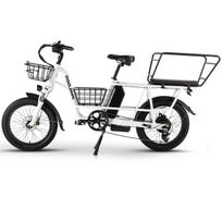 PHILODO Traveller Suaugusiųjų Elektrinis Dviratis 750W Variklis 48V35AH Dviguba Baterija 20*3 Colių Stori Padangų Elektrinis Dviratis Suaugusiųjų EBike Traveller-750W48V35AH-TT