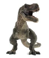 SanDoll Realistiškas Juros periodo Tiranzauras - Apie. 30 cm ilgio, rankų darbo dinozauro modelis žalia