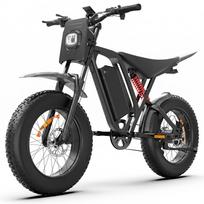 BLUVALL Bluvall R700 Fat Bike Electric Bike, 52 V 25 Ah Removable Battery, 20 Inches, Black