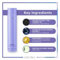 COTRIL Icy Blond - Purple Shampoo for Blond or Grey Hair 300ml, Imported, The Product of Italy gray