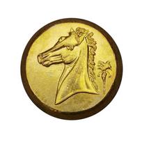Žirgo galva, Graikiško ketvirčio moneta, Arethūza, Kartaginiečių Sicilija, Moneta, 29,5 mm, Retro yellow