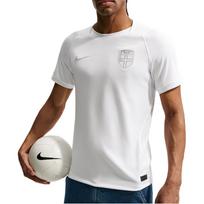 Nike Norway 2026 Third Replica Jersey 'White Pure Platinum' Men's IQ7379-100 L gray