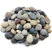 FANTIAN Natural River Rock Mexican Beach Pebbles Decorative Landscaping Garden Paving Plants Craft Walkway Outdoor Stone (2-4cm 2kg)