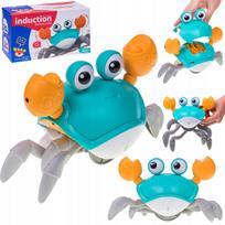 Pełzający Krab Nr:9073