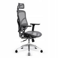 Ergonominė biuro kėdė Diablo V-Basic, juoda-pilka