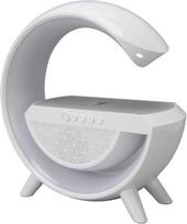 Bluetooth garsiakalbis, pritemdomas type-c bluetooth garsiakalbis su naktine lempute, palaiko fm usb aux režimų atkūrimą, 15w belaidis įkroviklis, skambinimas laisvų rankų įranga