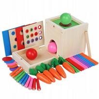 Medinis 6 viename edukacinis kubas