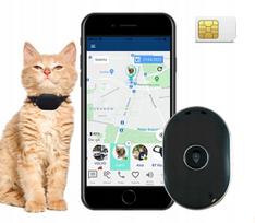 GPS antkaklis katėms CALMEAN PetTracker Mini S/M
