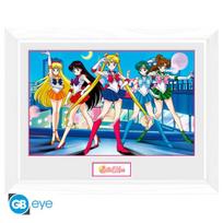 SAILOR MOON Įrėmintas paveikslas GROUP, 30x40 cm
