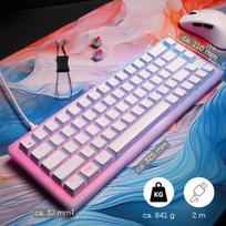Cherry Xtrfy K5v2 kompaktiška mechaninė žaidimų klaviatūra 65% formatu, prancūziškas išdėstymas (azerty), „hot Swap“ klaviatūra, Mx2a Red jungikliai, balta permatoma