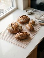 Sinsay - Aušinimo grotelės - auksinė