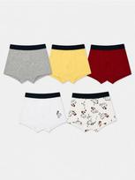 Sinsay - Medvilninės bokserio kelnaitės su viščiukų motyvu 5 pack - multicolor