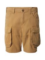 ALPHA INDUSTRIES Laisvo stiliaus kelnės kupranugario