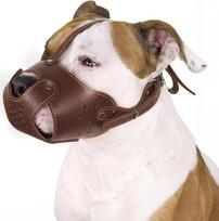 Odinis antsnukis Pitbull, Amstaff, Stafordšyro terjerui