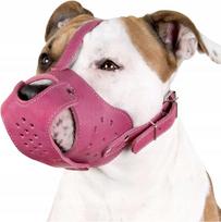 Odinis antsnukis šunims PITBULL, AMSTAFF, reguliuojamas, M/L, CollarDirect