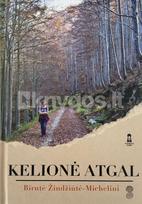Kelionė atgal - Birutė Žindžiūtė-Michelini