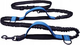 Elastingas bėgimo pavadėlis šunims, 2 m, U001