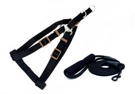 Petnešų ir pavadėlio rinkinys BUBU Classic Rainbow XS, juodas, 10 mm/25–35 cm, 6 mm/130 cm