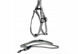 Šunų pakinktų ir pavadėlio rinkinys BUBU, XS/S, 10 mm, 25–35 cm, pavadėlis 6 mm, 130 cm