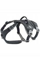 Šuns petnešos Hurtta Safeguard ECO, ostružinų spalvos, 45–60 cm