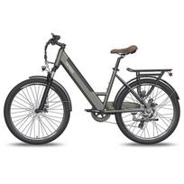 Elektrinis dviratis Fafrees F26 Pro 26'', pilkas
