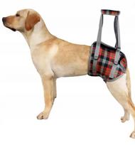 Šuns užpakalinių kojų kėlimo diržas Rehab, 7–12,5 kg