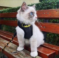 Šuns ir katės petnešos „Bat Dog“ be spaudimo, M dydis