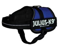 Šuns petnešos Julius-K9, Mini-Mini/S, 40–53 cm, mėlynos, Trixie