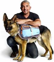 Šuns transportavimo krepšys CESAR MILAN, didelis, 41 x 64 x 1,5 cm, turkio spalvos